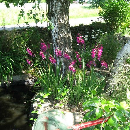 Gites Du Roheran Malansac Экстерьер фото